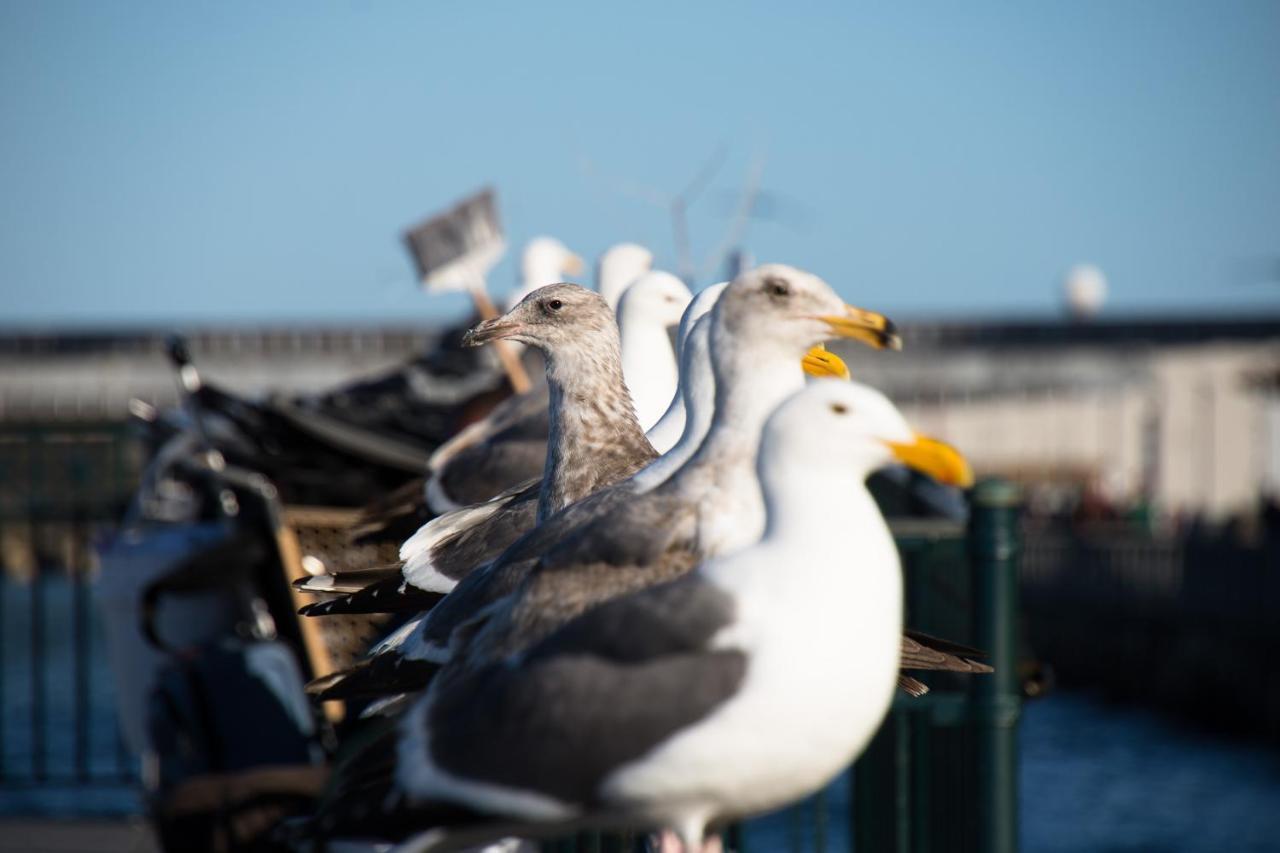 The Greenwich Rooms - Burger & Bird Bar & Restaurant Peacehaven Exteriör bild